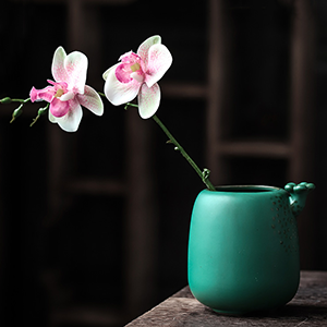 陶瓷茶道六君子黑檀木纹功夫茶具配件茶夹茶勺日式茶道套装