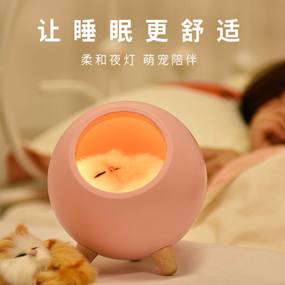 创意可爱小萌猫宠屋小夜灯可爱小猫床头伴睡灯USB充电触摸氛围灯