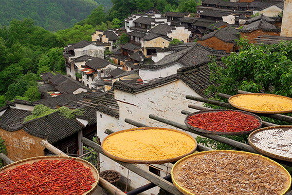 启润影视董事亲赴江西婺源 考察《穿旗袍的女人》合适拍摄景地